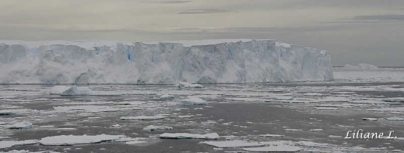 Détaille Island