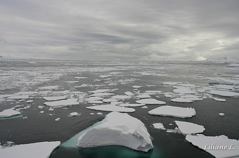 Détaille Island