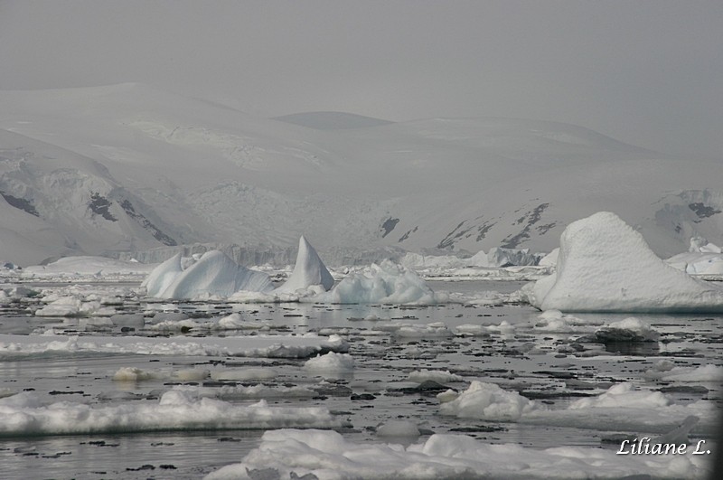 zodiac cruise à Détaille Island