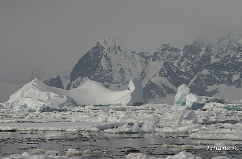 zodiac cruise à Détaille Island