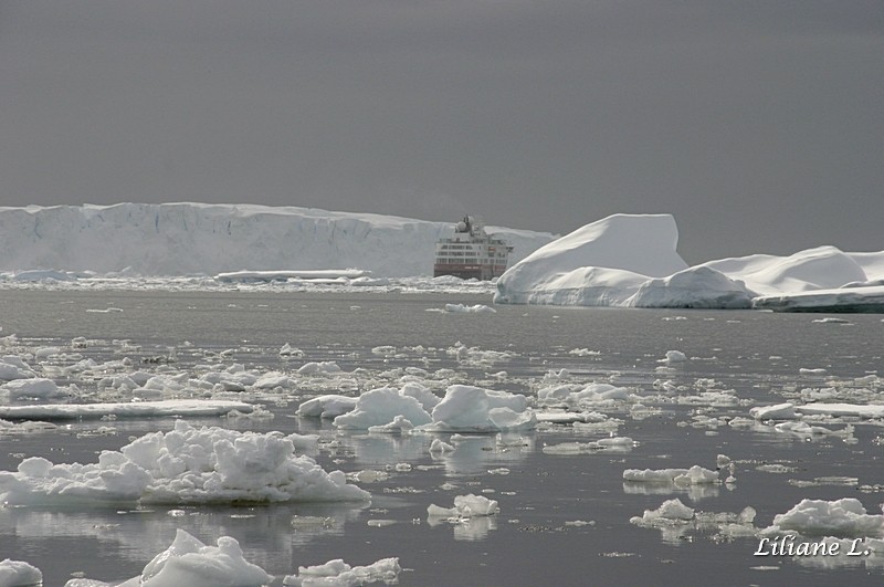 zodiac cruise à Détaille Island