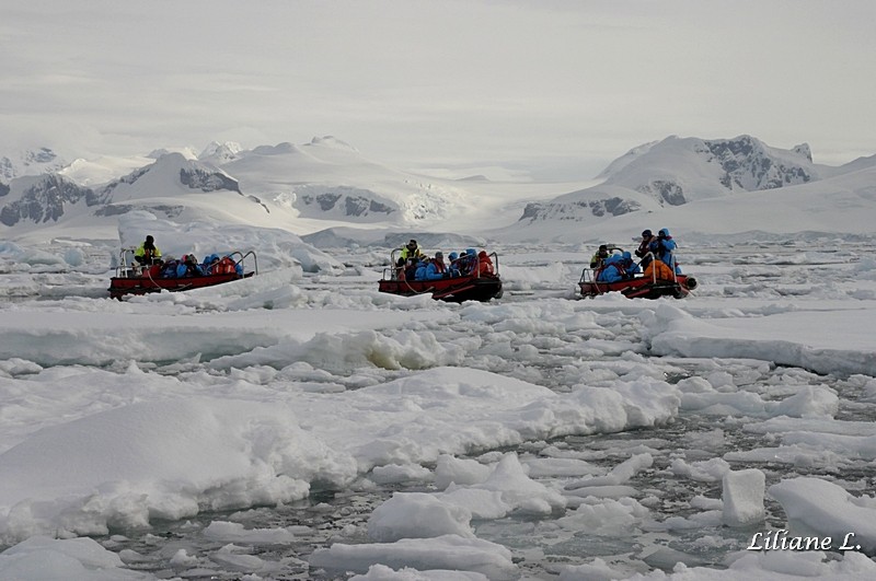 zodiac cruise à Détaille Island