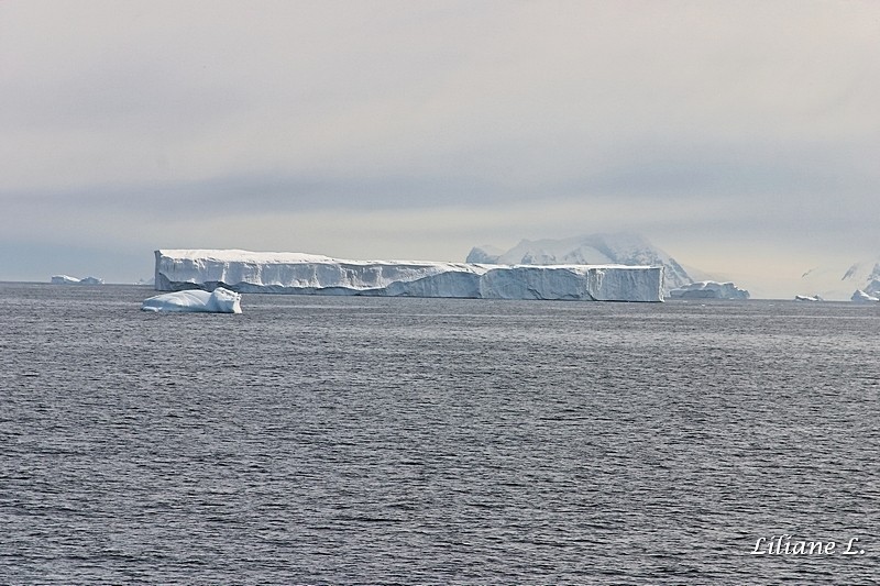 Iceberg tabulaire quelque part entre Stonington et Horsehoes Island