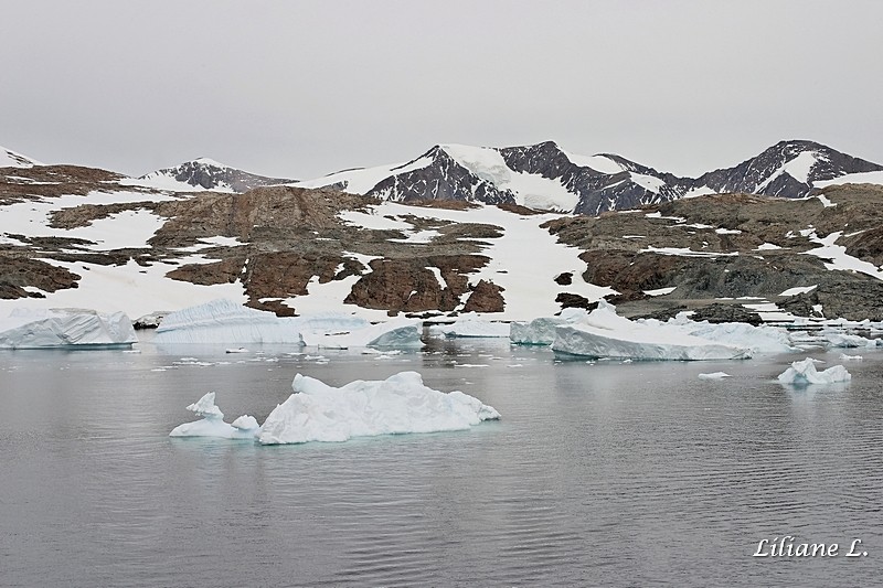 Horseshoes Island