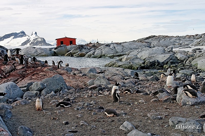 Petermann Island