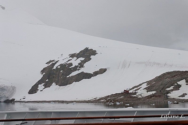 Andvord Bay – Neko Harbour