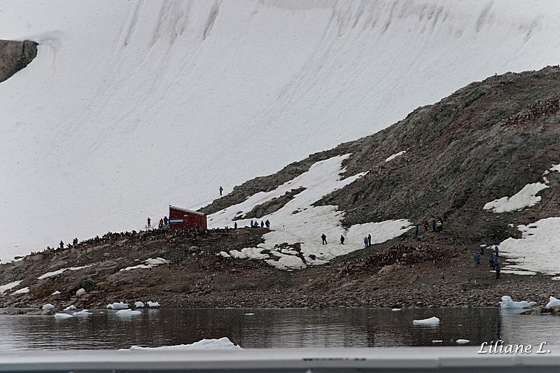 Andvord Bay – Neko Harbour