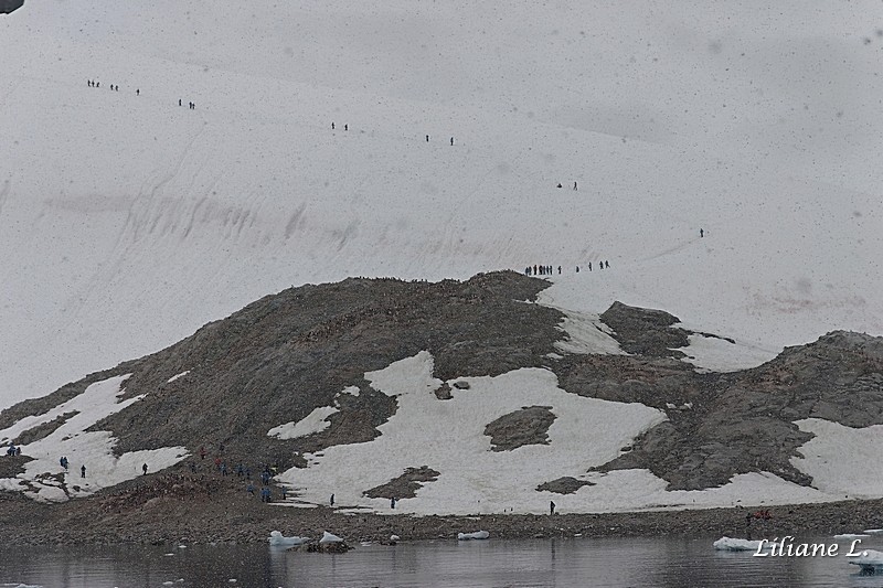 Andvord Bay – Neko Harbour