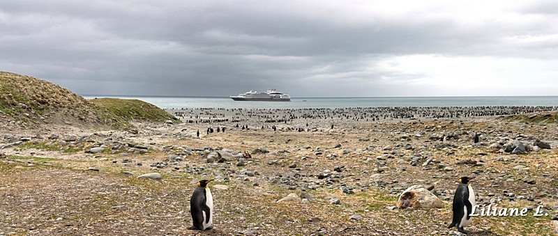 CRW_7380_DxO.pano