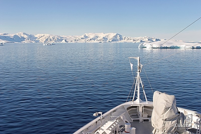 Wilhelmina Bay