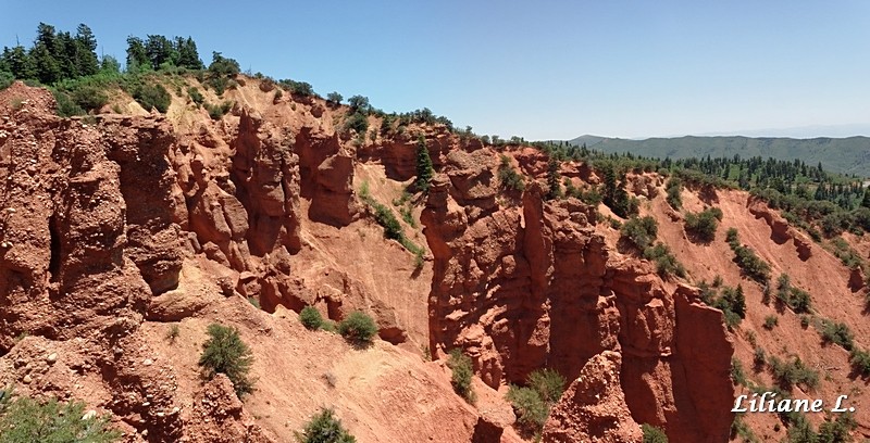 Devil's Garden