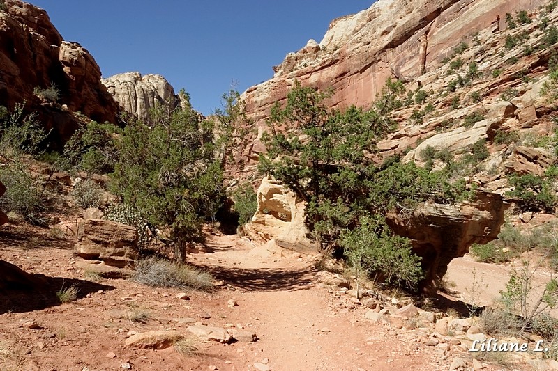 Arch Cassidy Trail