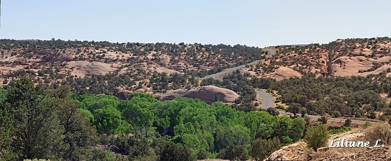CRW_8168_DxO.pano