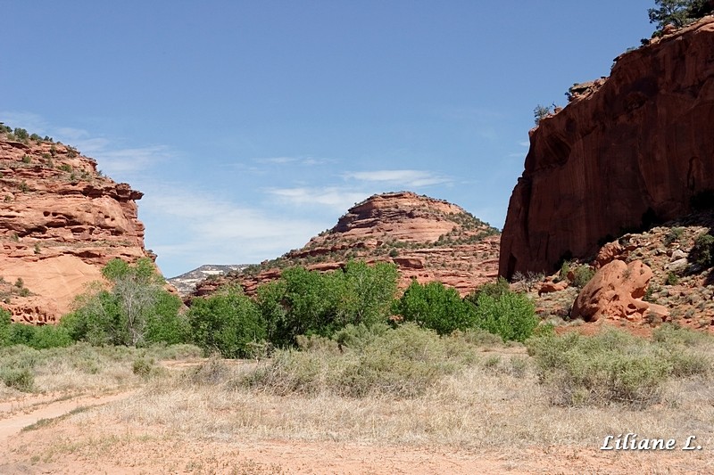 Burr trail