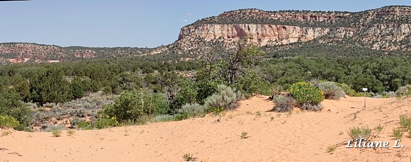 Coral Pink Sand Dunes S.P.