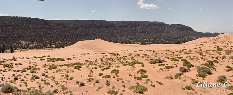 Coral Pink Sand Dunes S.P.