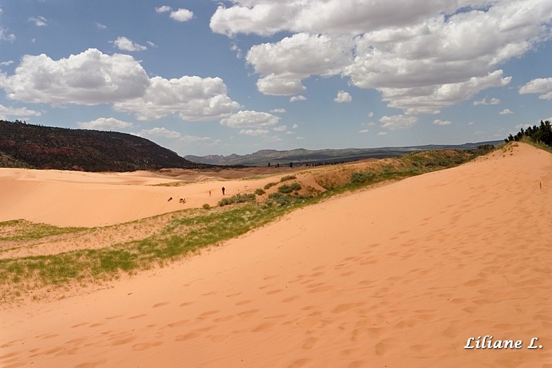 Coral Pink Sand Dunes S.P.