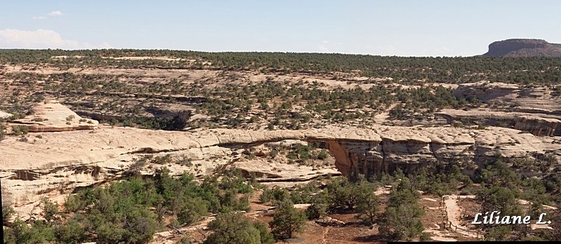 Owachomo Bridge