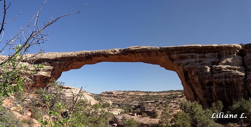 Owachamo bridge trail