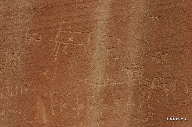 Indian Writing