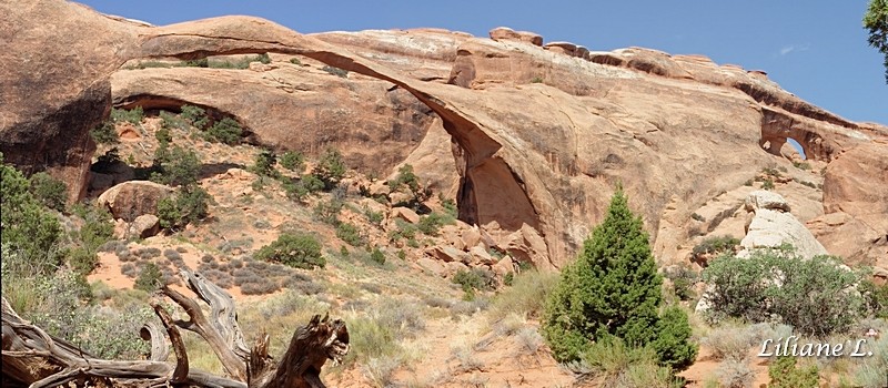 Landscape Arch