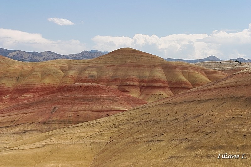 Painted hills overlook and trail