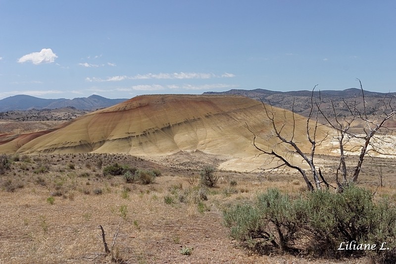 Painted hills overlook and trail