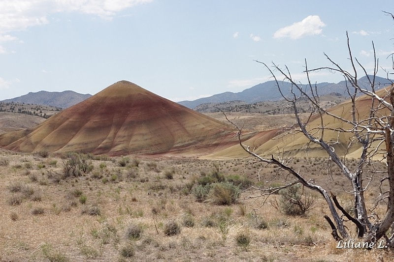 Painted hills overlook and trail