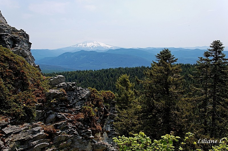 Vue de MT Larch – Sherrad Point