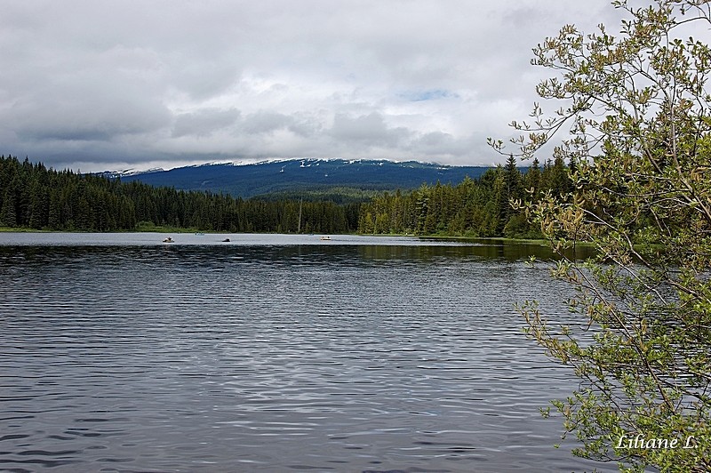 Trillium Lake