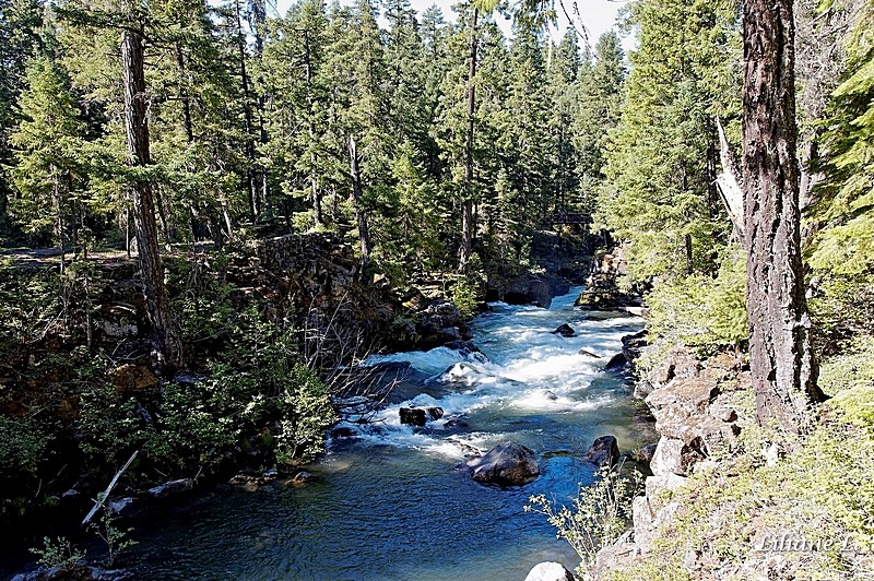 Natural Bridge