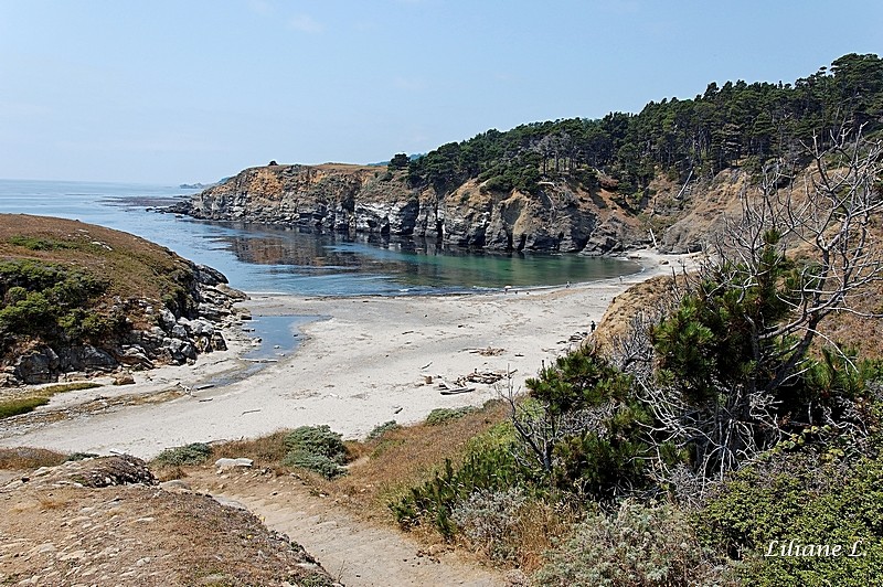 Stump beach