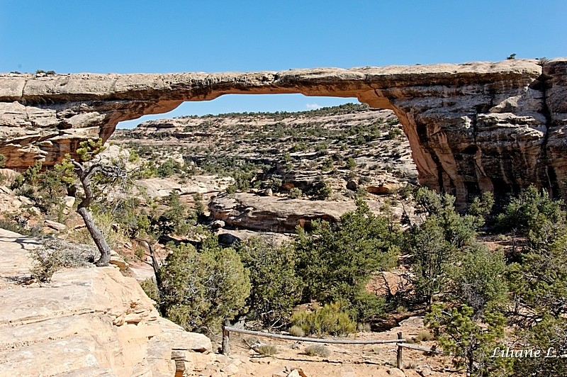 Owachamo bridge trail