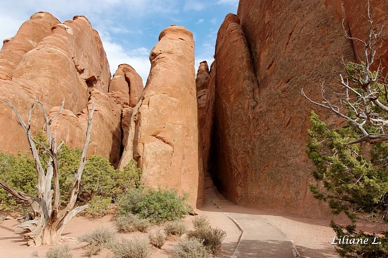 Sand Dunes Arch