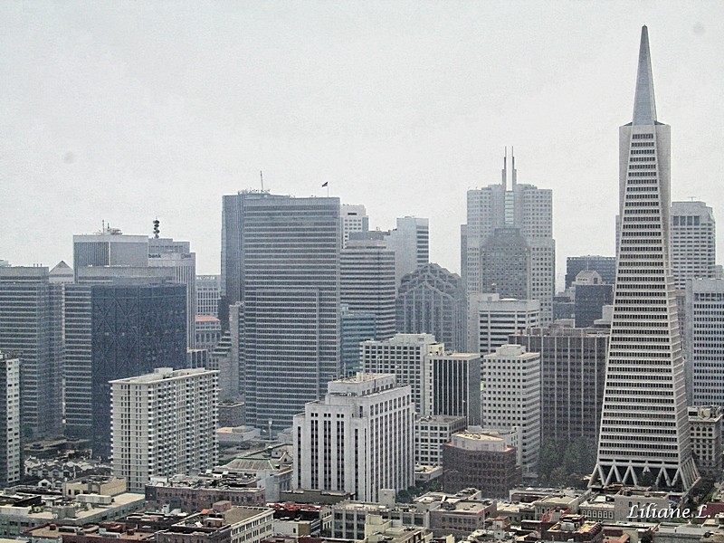 Vue de la Coït Tower