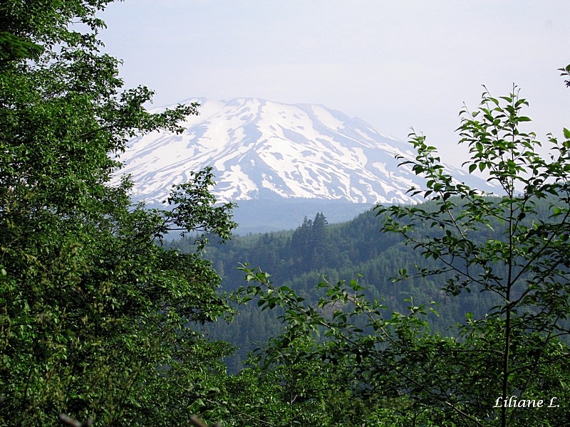 Mount St Helens.