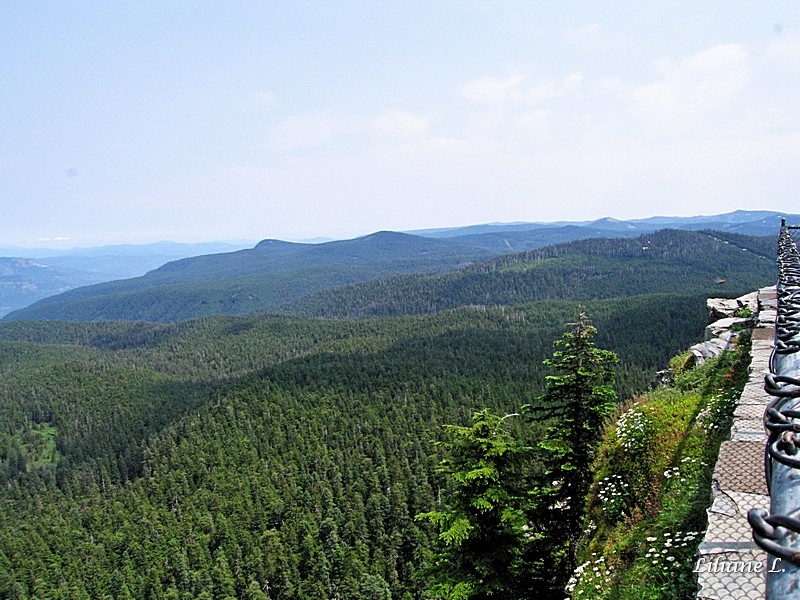 Vue de MT Larch – Sherrad Point