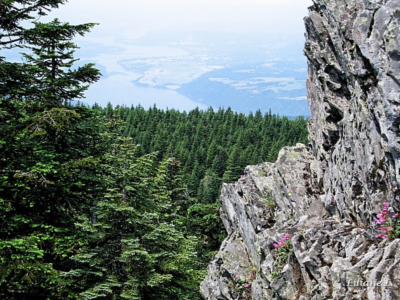 Vue de MT Larch – Sherrad Point