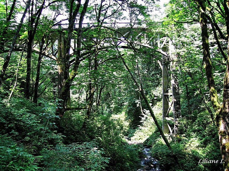 Latourell falls