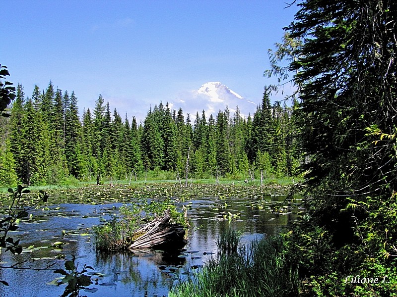 Trilium Lake