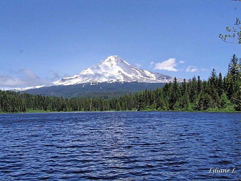 Trilium Lake et Mont Hood