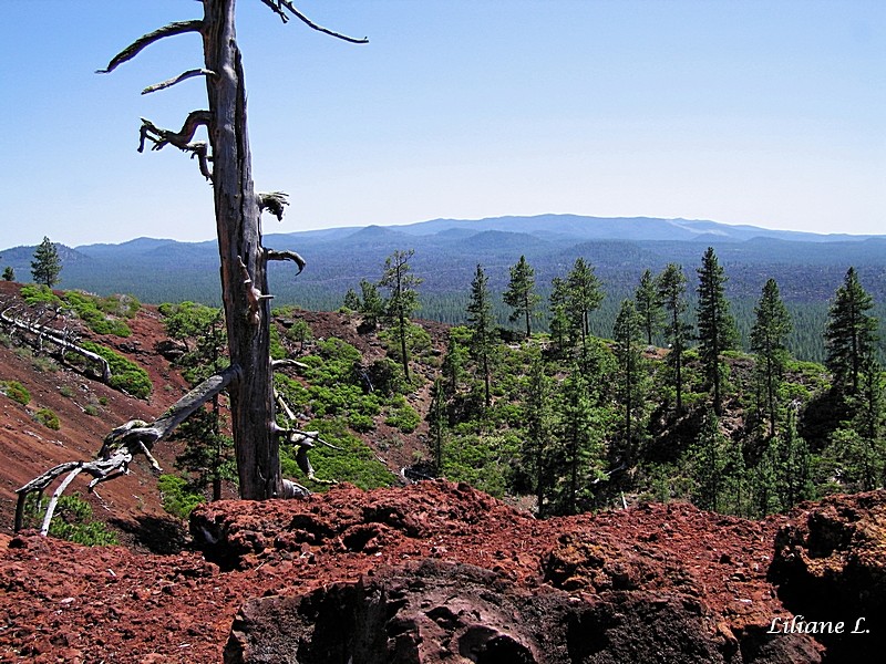 Lava Butte