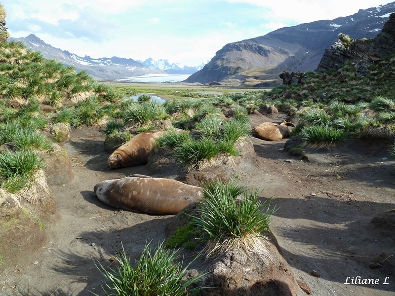 Fortuna Bay 