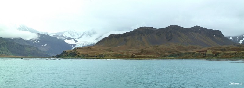 Grytviken