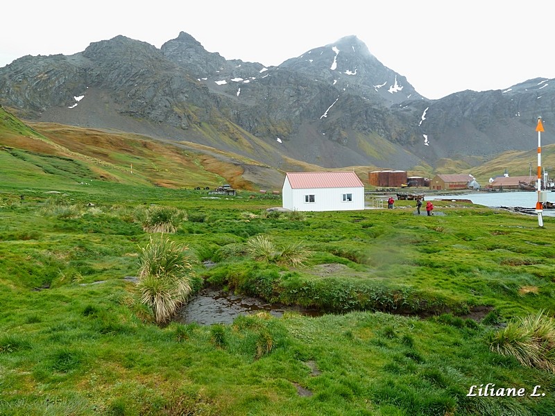 Grytviken