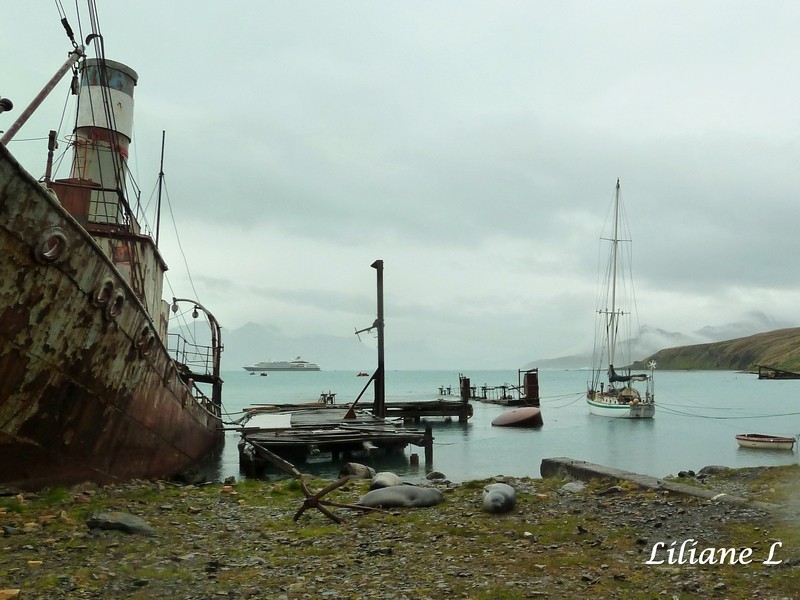 Grytviken