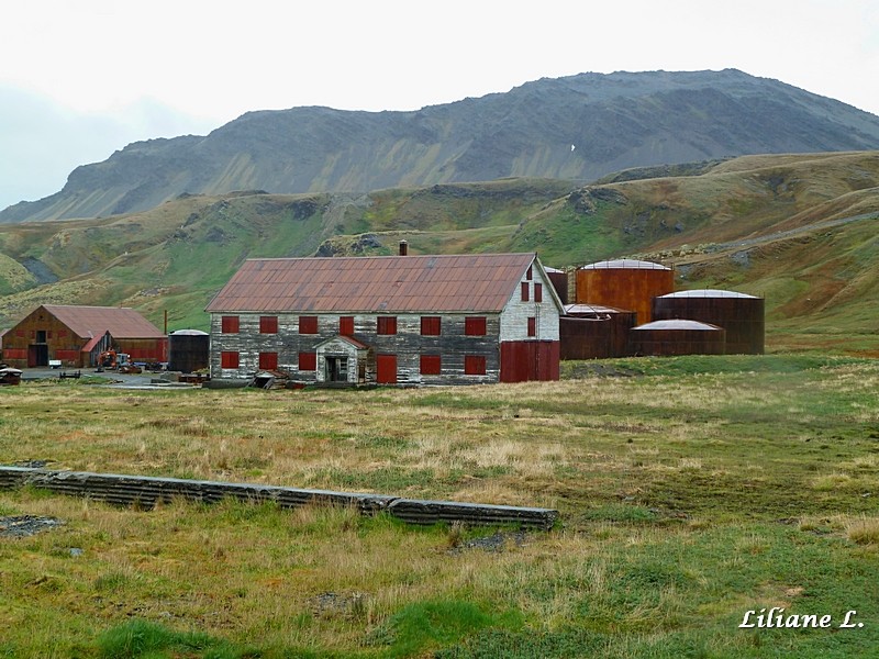 Grytviken