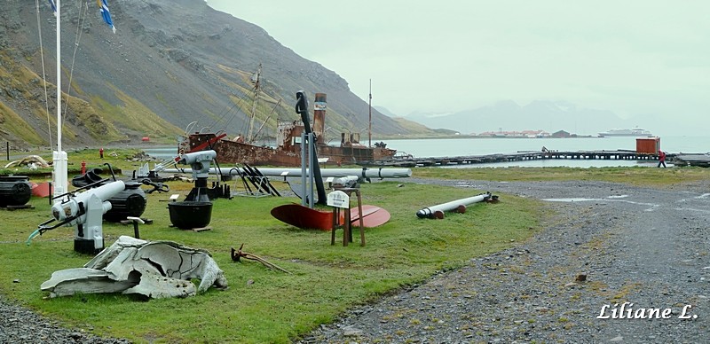 Grytviken