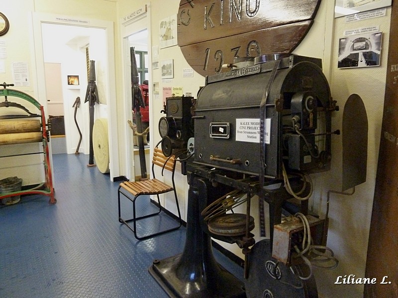 Grytviken, le petit musée