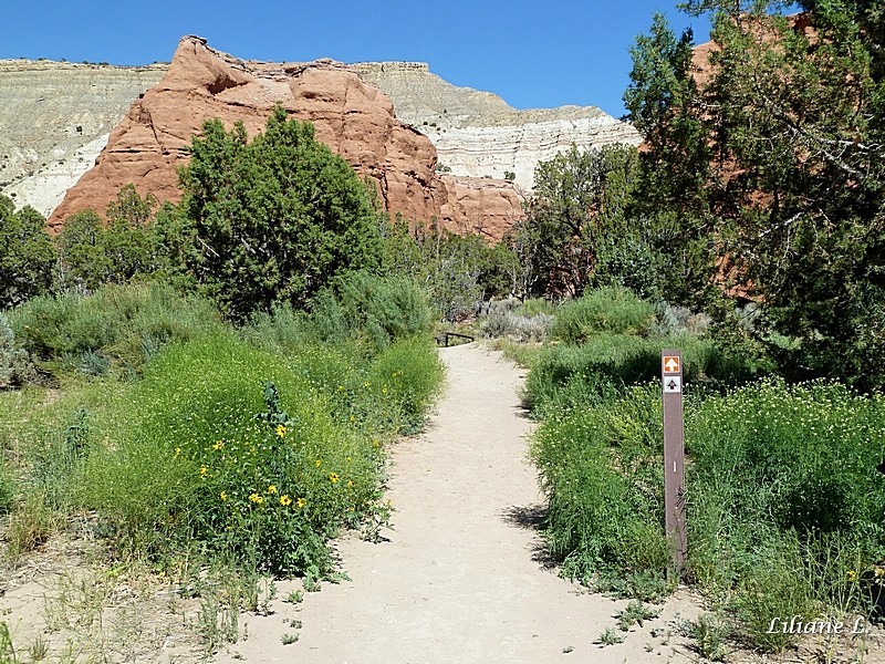 Angel’s Palace trail